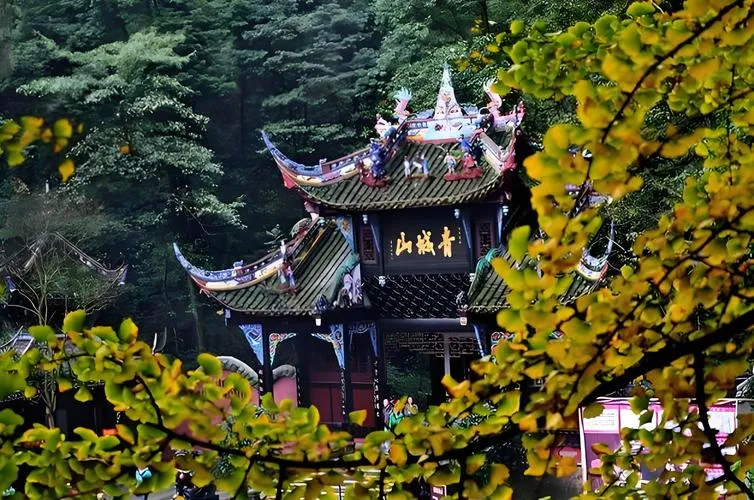 A narrow stone stairway climbs through dense forest toward a traditional wooden temple gate at Mount Qingcheng.