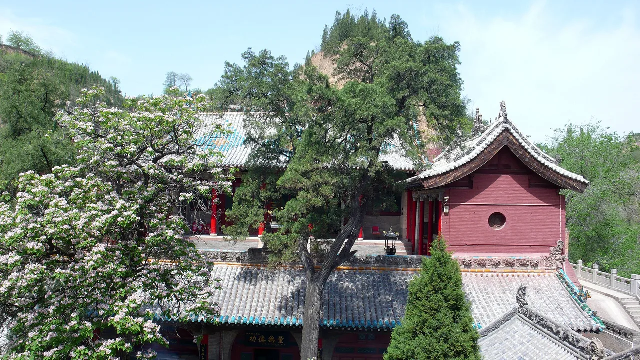 Upper and lower courtyards of Little Western Heaven (Xiaoxitian) stacked on Fenghuang Hill above Xi county, with trees in blossom.