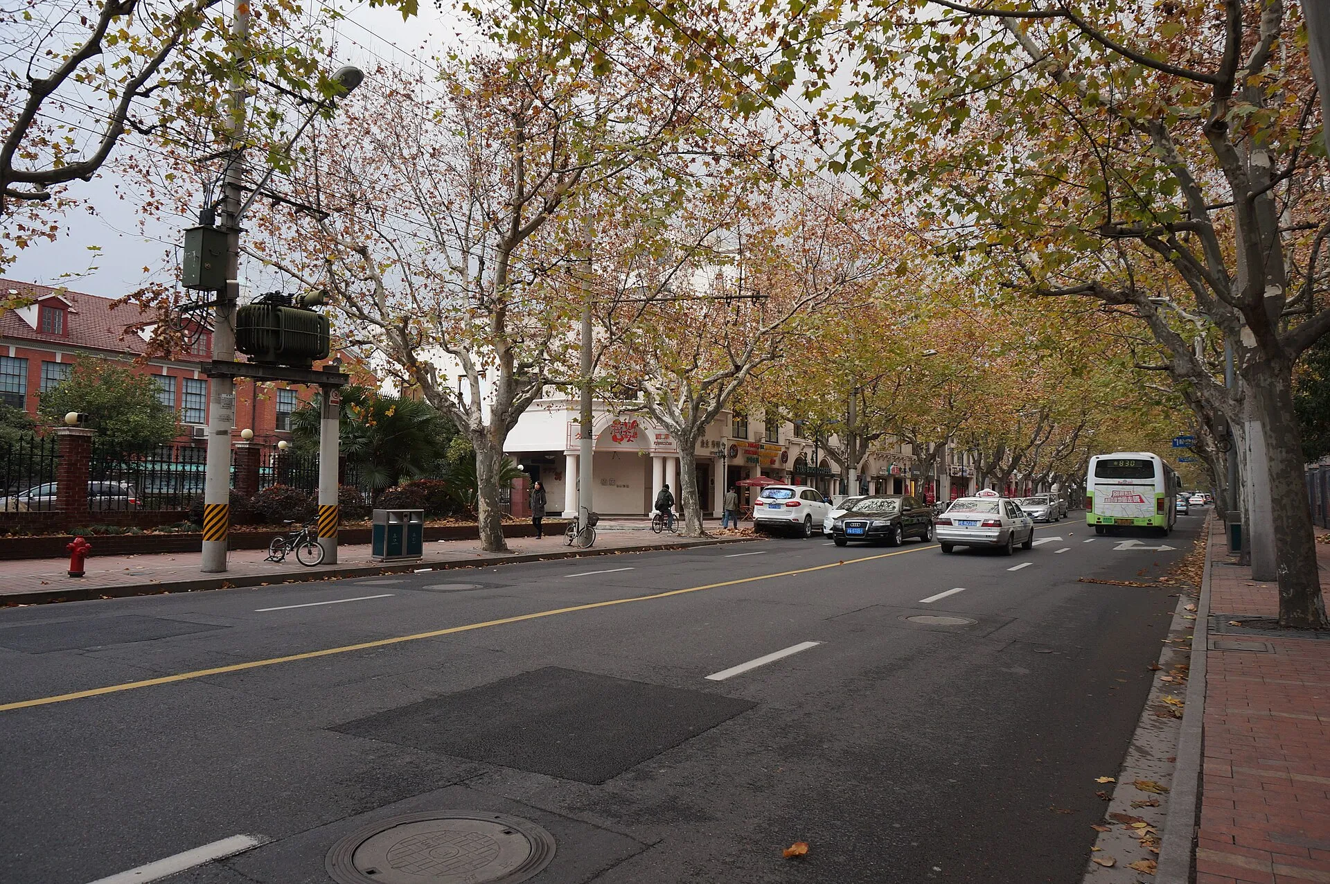 Tree-lined streetscape along Hengshan Road in the former French Concession