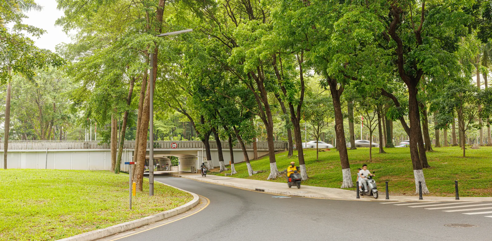 Shennan Boulevard streetscape through Shenzhen’s urban core