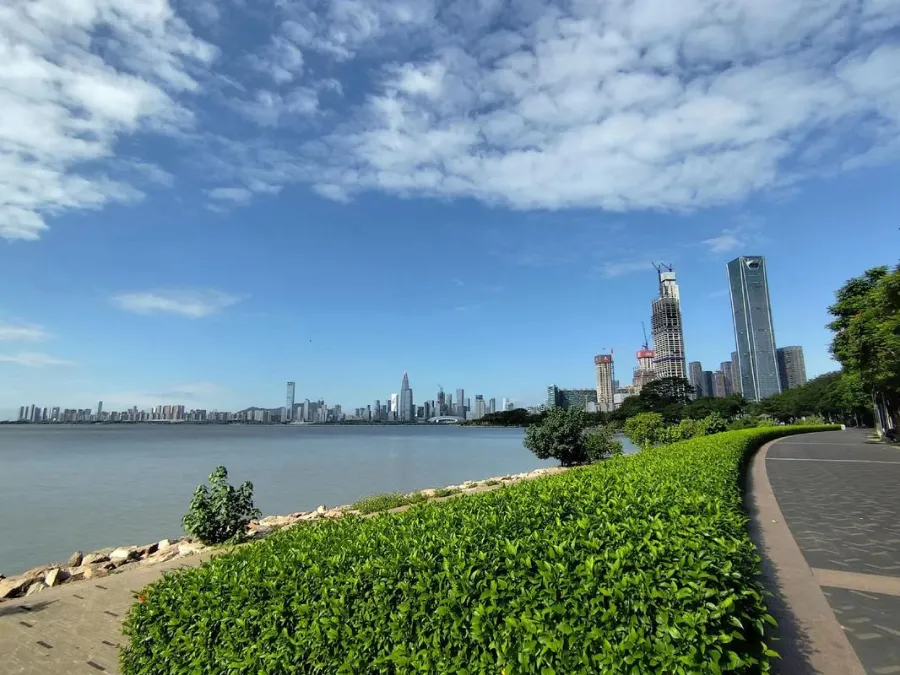 A view of the Shenzhen Bay Mangrove Reserve mudflats with Nanshan skyscrapers in the background.