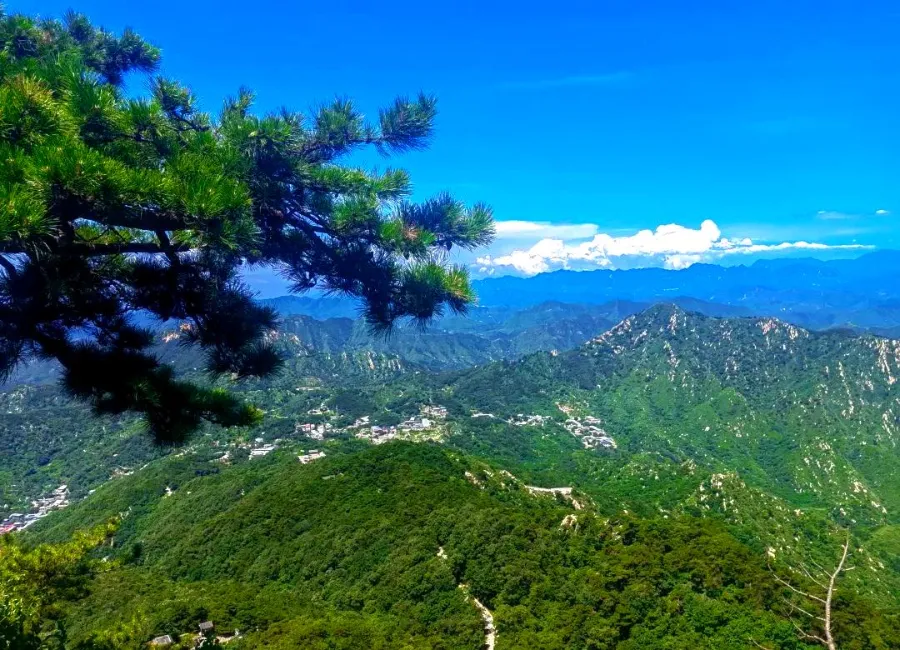Ancient stone pagoda nestled among gnarled pines on the sandstone slopes of Panshan Mountain.